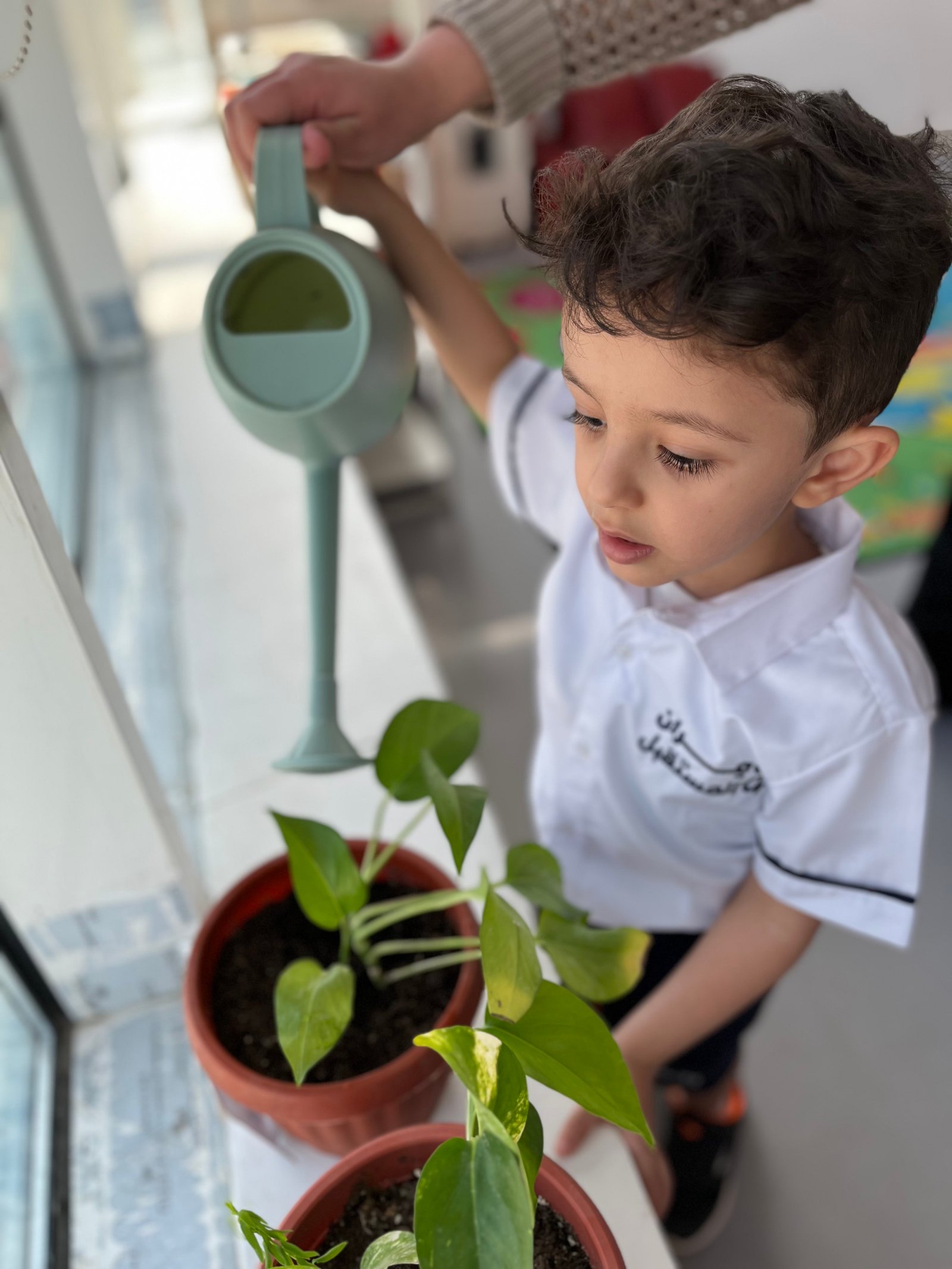 التكيف والنمو - سنة – ٣ سنوات